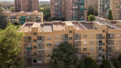 Apartment in Cartuja photo 34