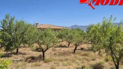 Rustic house in Villamena photo 11