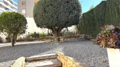 Apartment in Calpe - Calp photo 18