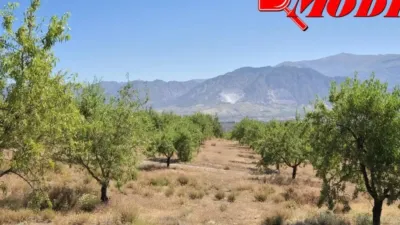 Rustic house in Villamena photo 12