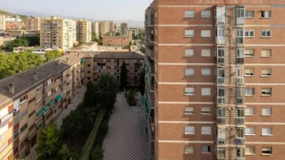 Apartment in Cartuja photo 17