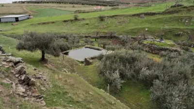 Rustic property in Belalcázar photo 57