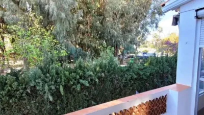 Rustic house in L'Alfàs del Pi photo 9