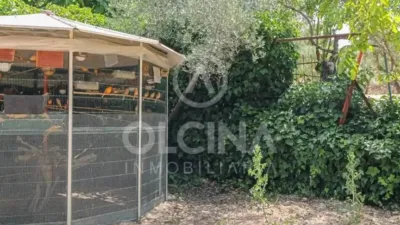 Rustic property in Onil photo 28