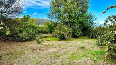 Rustic house in Carcabuey photo 42