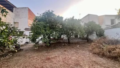 Chalet in Villafranca de Córdoba photo 18