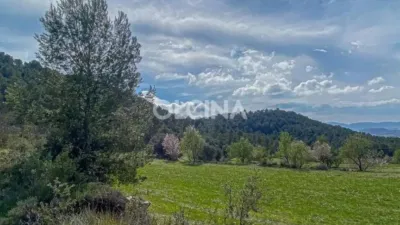 Rustic House in Santa Rosa photo 20