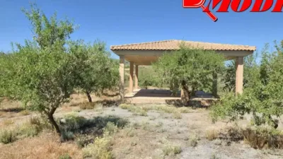 Rustic house in Villamena photo 21
