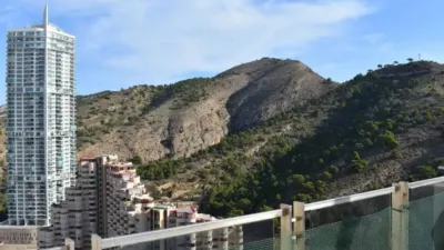 Apartment in Benidorm photo 9