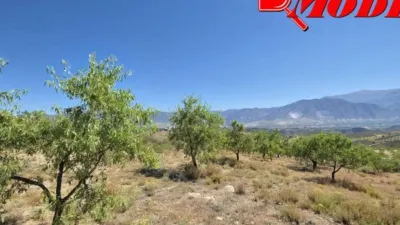 Rustic house in Villamena photo 32
