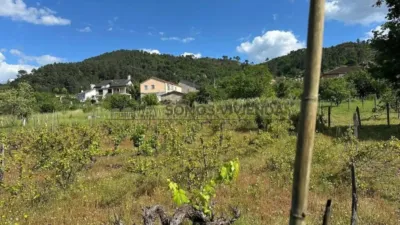 Chalet in Ourense Capital photo 5