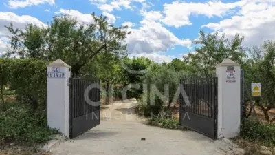 Rustic property in Onil photo 2