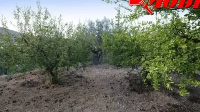 Rustic house in Villamena photo 29