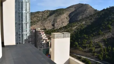 Apartment in Benidorm photo 17