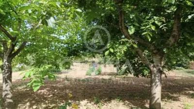 Rustic property in Onil photo 32