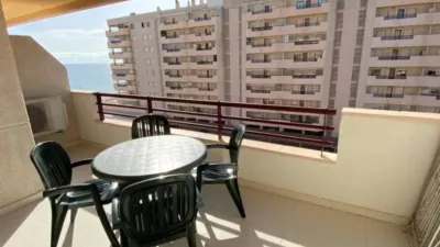 Apartment in Calpe - Calp photo 4