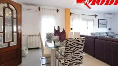 Chalet in Padul photo 47