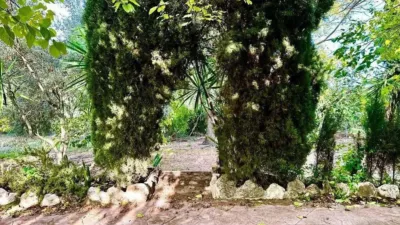 Rustic house in Carcabuey photo 44