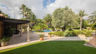 Chalet in Torrellano-Valverde-Business Park photo 20