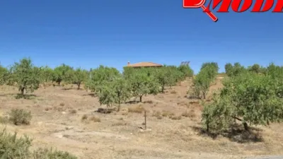 Rustic house in Villamena photo 28