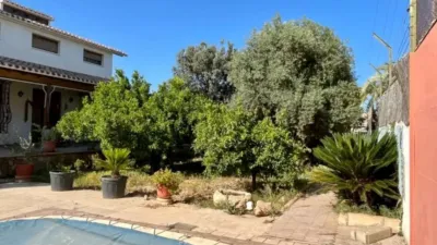 Chalet in San Antón-El Palmeral photo 62