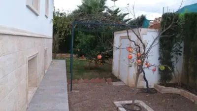 Chalet in L'Alfàs del Pi photo 4