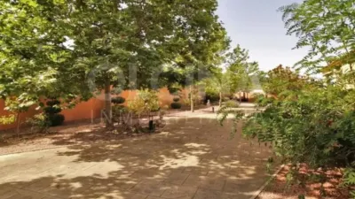 Chalet in Ibi photo 5