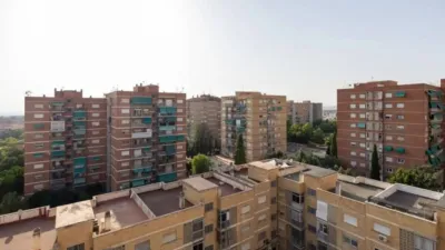 Apartment in Cartuja photo 29