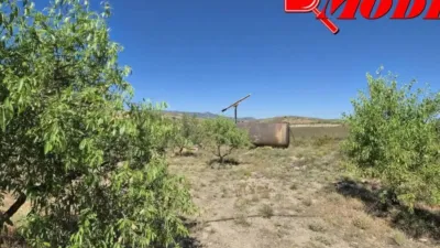 Rustic house in Villamena photo 38