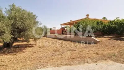 Chalet in Ibi photo 63