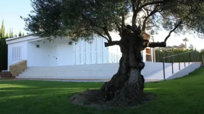Chalet en Monforte del Cid photo 2