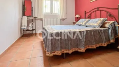Chalet in Ibi photo 21