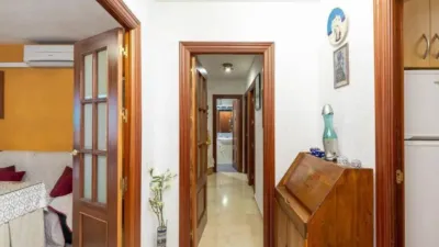 Apartment on Veracruz Street photo 12