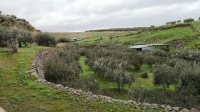 Rustic property in Belalcázar photo 37