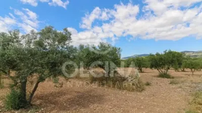 Rustic property in Onil photo 36