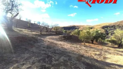 Rustic house in Villamena photo 14