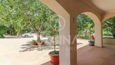 Rustic property in Onil photo 5