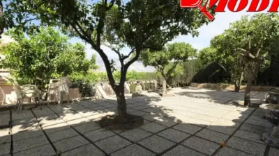 Chalet in Padul photo 75