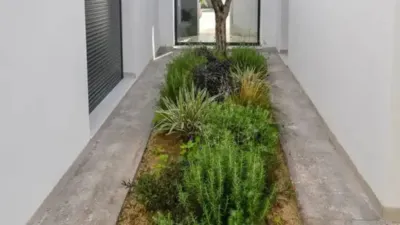 Chalet in Murcia Capital photo 5