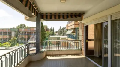 Apartment in Albolote photo 15