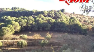 Rustic house in Villamena photo 24