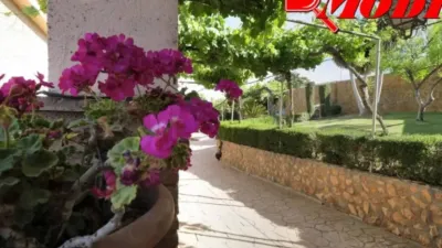 Chalet in Padul photo 66