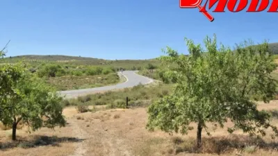 Rustic house in Villamena photo 15