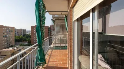Apartment in Cartuja photo 26