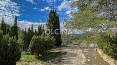 Rustic House in Santa Rosa photo 15
