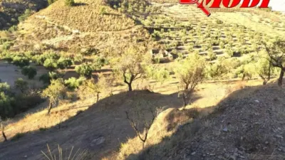 Rustic house in Villamena photo 17