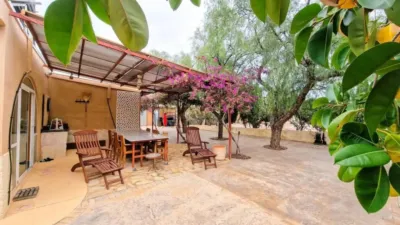 Chalet in Crevillent photo 6