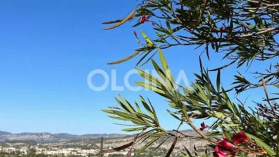 Chalet in Ibi photo 36