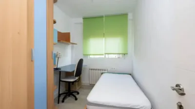 Apartment in Cartuja photo 39