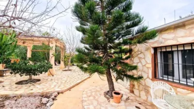 Chalet in Crevillent photo 27